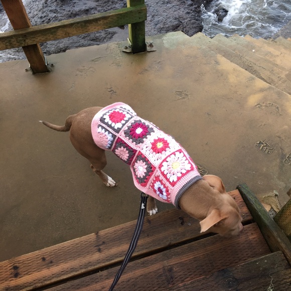 Colorful Crochet Dog Sweater - Picture 2 of 6